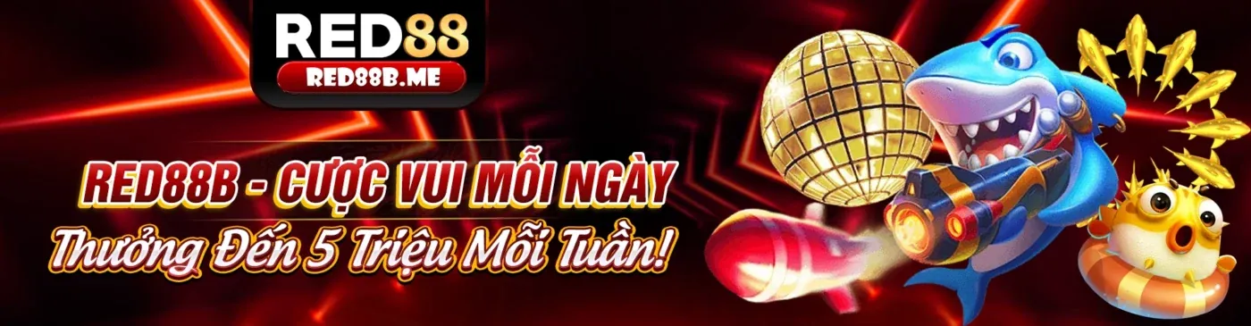 Hình ảnh chính sách quyền riêng tư của r98 đăng ký